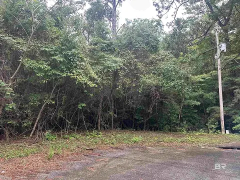 Saraland Land Near I-65