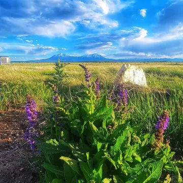 Land with Septic and Cistern