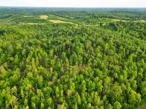 Recreational Hunting Land Tract