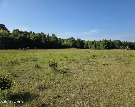 Cleared and Wooded Agricultural Land