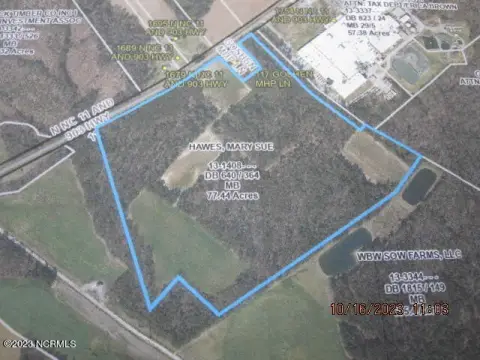 77 Acres on NC Hwy 11