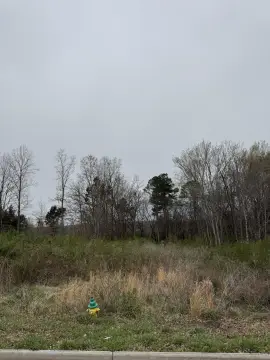 Residential Land in Davis Place