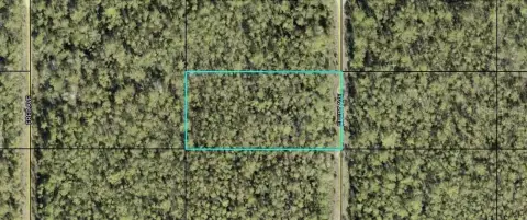 Land in Flagler Estates