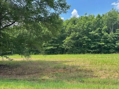 Rural Land Parcel in Waynesboro