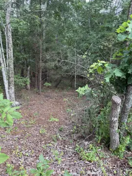 Residential Lot in Active Community
