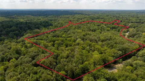 Wooded Hunting Land