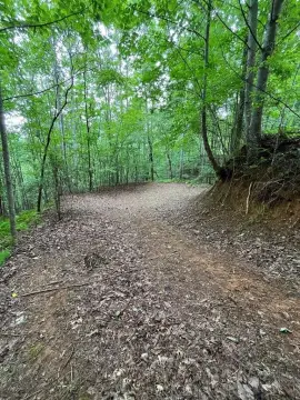 Residential Lot in Tarheel Community