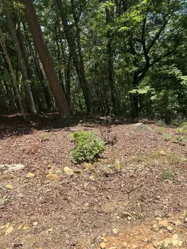 Convenient Lot Near Downtown Murphy