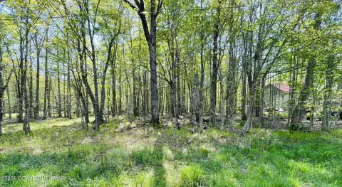 Buildable Lot with Septic Permit