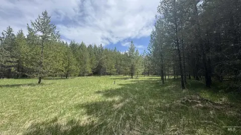 Residential Land Parcel with Creek