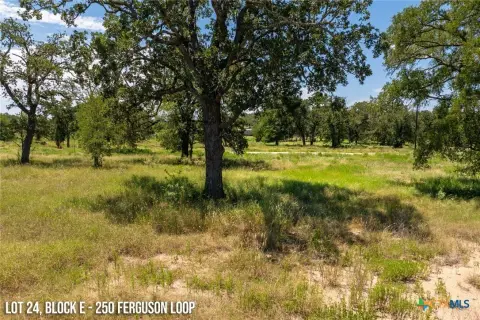 Dale, TX Acre Homesites