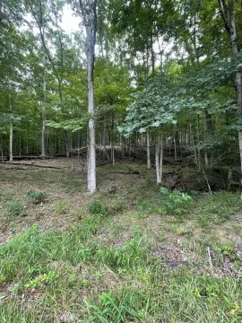 Residential Lot in Lavalette, WV