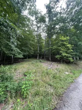 Residential Lot in Lavalette, WV