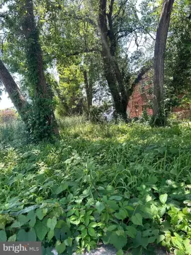 Vacant Lots in Washington, DC
