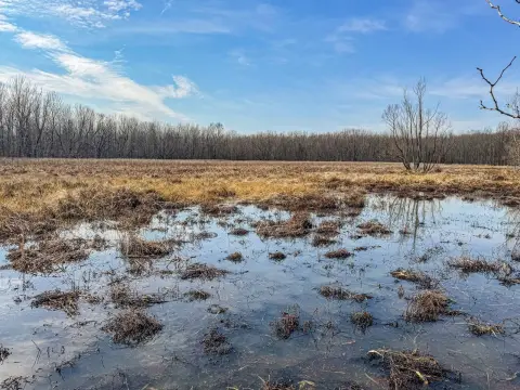 Premier Hunting Tract in Lambert, MS