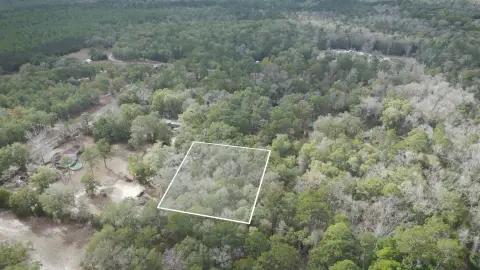 Secluded Wooded Lot in Tallahassee