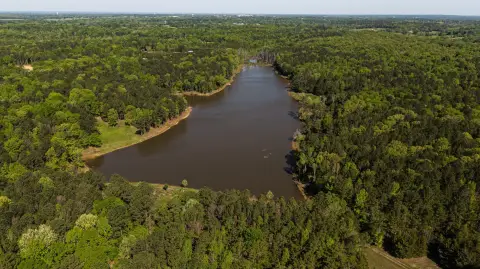 203 Acres Near Mississippi State