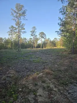 Waterfront Land in Lincolnton, GA