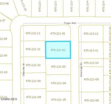 Mojave Land for Homesteading