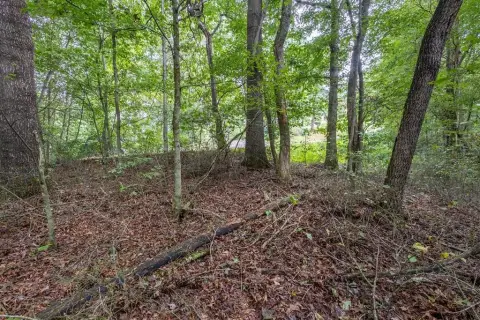 Wooded Land Near Andrews, NC