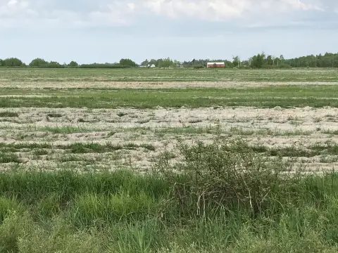 Agricultural Land with Road Frontage