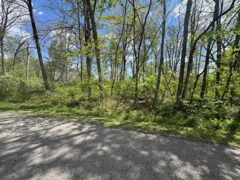 Wooded Lots in Gated Community