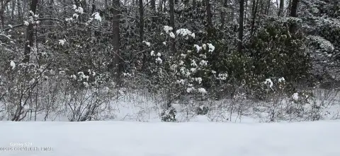 Wooded Lot in Mountain Community