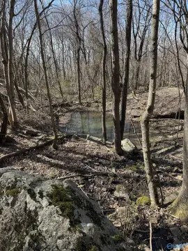 81-Acre Hunting Land
