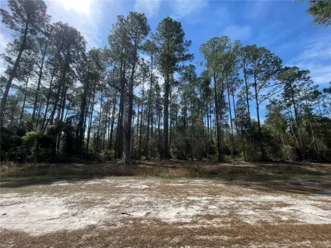 Residential Lots in Georgetown, Florida