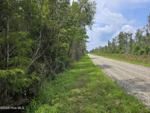 Forest Land Tract