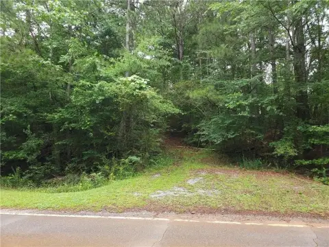 Wooded Residential Development Land