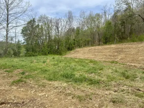 Residential Lot in Ona, WV