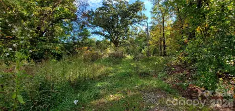 Residential Land in Statesville, NC