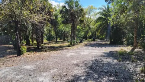 Commercial Land in Punta Gorda