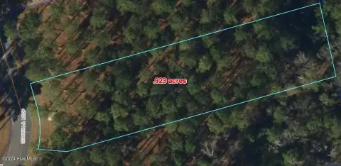 Residential Land in Oriental, NC