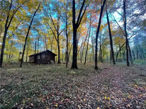 Pettigrew Recreational Land For Sale