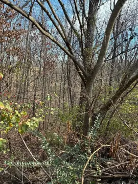 Residential Land in Sweetwater, TN