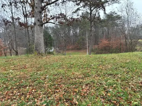 Unrestricted Land in Livingston, TN