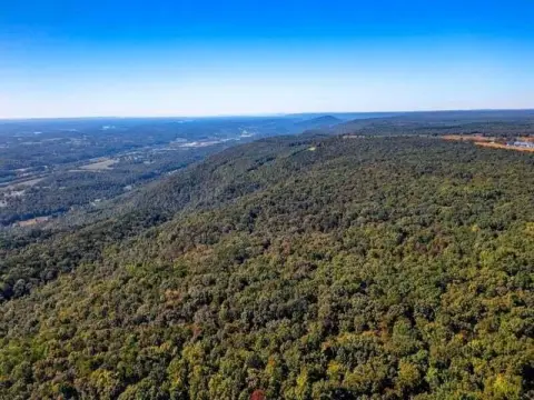 205 Acres of Wooded Land