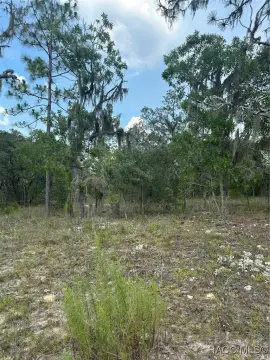 Lecanto Acre Parcel, No HOA