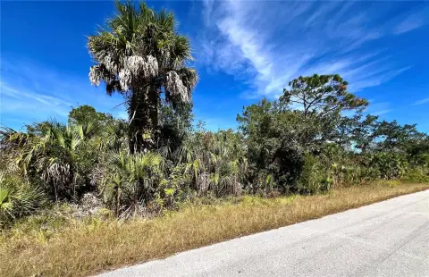 Approximately One Acre Homesite
