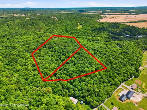 Wooded Hunting Land