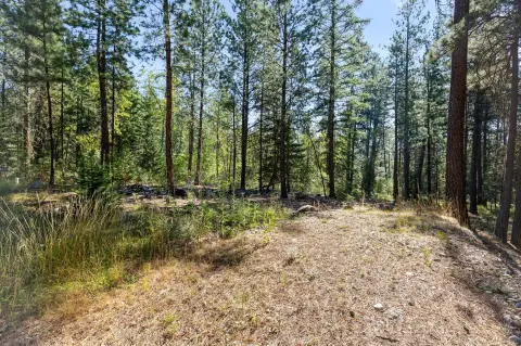 Stevensville Land with Utilities