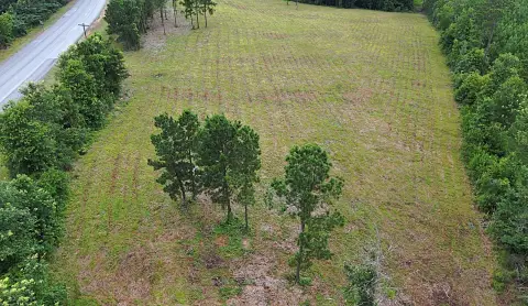 Residential Land Near Toledo Bend