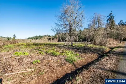 Flat Usable Custom Home Lot
