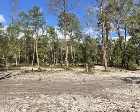 Satsuma, FL Land Opportunity