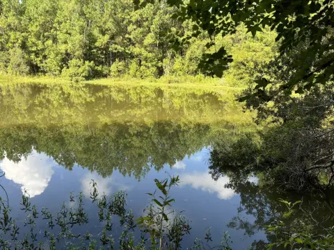 Recreational Land Near Bainbridge, GA