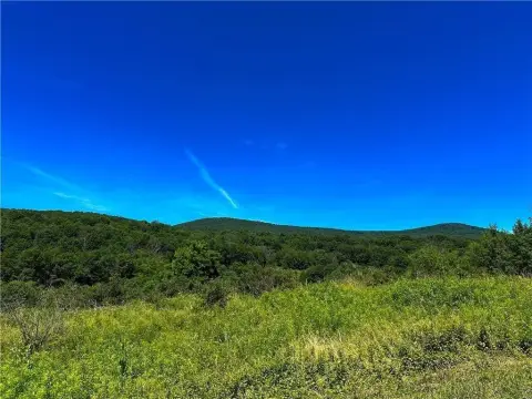 297-Acre Parcel in Roxbury, NY