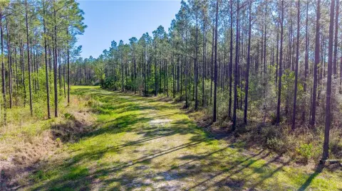 High-Fenced Hunting Land