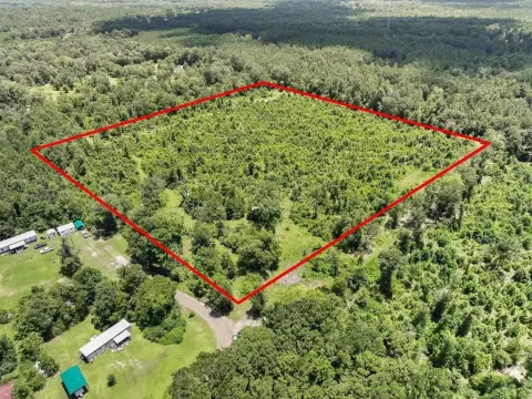 Acreage Tract with Mature Trees